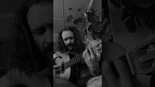 Dunkelheit  Burzum  Acoustic cover by Leiv Reed [upl. by Akym487]