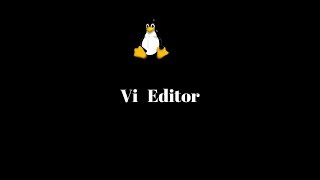 How to use vi editor [upl. by Carrol]