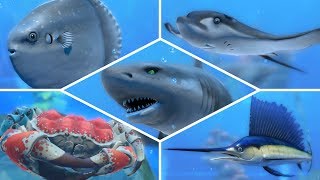 How To Catch ALL Fish amp Shark In Nintendo Labo Fishing [upl. by Aeiram]