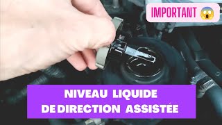 Vérifier niveau liquide de direction assistée [upl. by Matthaeus334]