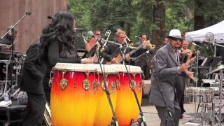 Pete Escovedo  Live Stern Grove Festival [upl. by Ztirf]