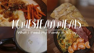 What I Feed My Family in a Day on the Homestead  From Scratch Meals [upl. by Leaffar767]