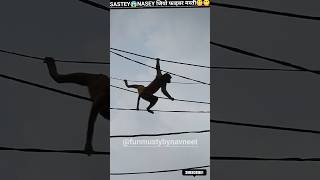 SASTEY😱NASEY जियो फाइबर मस्ती😬😬👻 funny😇monkey🐒 shortvideo  subscribe me 🙏 [upl. by Naegem]