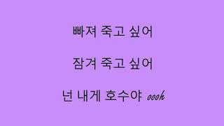 BTS 방탄소년단  Dimple  Illegal 보조개 hangul lyrics [upl. by Ativel]