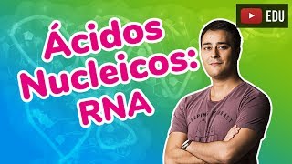 Ácidos Nucleicos  RNA  Compostos Orgânicos  Prof Paulo Jubilut [upl. by Hay4]