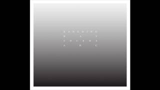 Kangding Ray  Amber Decay [upl. by Dnamron245]