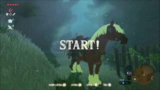 Zelda Breath of the Wild Epona visits the lost woods and does korok trials [upl. by Mcnair]