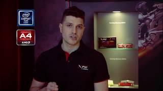 Best RGB RAM  XPG Spectrix D60G Review  RAM Overclocking [upl. by Llewon831]