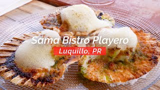 Dining at Sama Bistro Playero by Chef Erika Suarez in Luquillo PR [upl. by Raseta670]