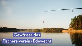 Gewässer des Fischereivereins Edewecht [upl. by Aretse839]