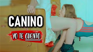 CANINO HIJOS MASCOTA Resumen en 10 minutos  Yo te Cuento [upl. by Cornew883]