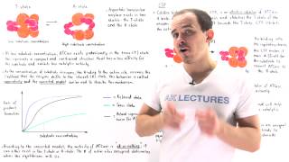 Cooperativity and Allosteric Effectors of ATCase [upl. by Trebla]