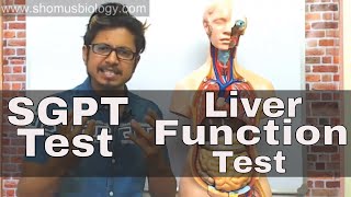 SGPT blood test in Hindi [upl. by Ecnaled]