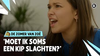 KON JE NIET OP EEN NORMALE PLEK WONEN  De zomer van Zoë  Seizoen 4 3  NPO Zapp [upl. by Yelnek]