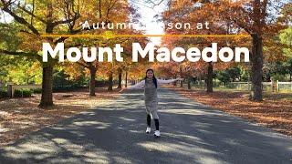 AUTUMN EXPERIENCE AT MACEDON RANGES [upl. by Eenej]