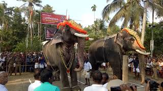 chakkumarassery thalapokkam 2019 chulliparambil Vishnusankar VS uttoly Ananthan🐘win chulliparam [upl. by Nwahser]