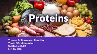 B12 Proteins  IB Biology SL NEW SYLLABUS First assessment 2025 [upl. by Fechter]