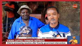 Kikima coffee processing resumes after County government intervention [upl. by Esadnac]