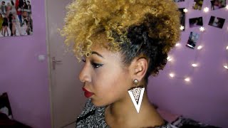 LE FROHAWK  CHEVEUX AFRO COURTS [upl. by Gnov]