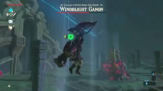 Windblight Ganon is a complete joke [upl. by Schubert574]