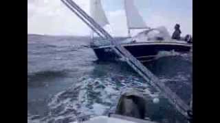 Kolibri 560 quotVelaquot versus Sailfish 18 quotFengShuiquot [upl. by Annaxor583]