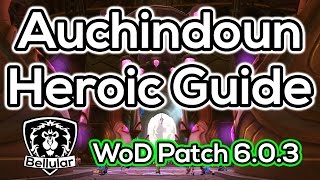 Quick Guide Auchindoun Heroic  Warlords of Draenor Dungeon Guides [upl. by Alemahs]