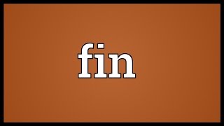 Fin Meaning [upl. by Hamaso]