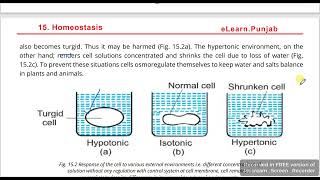 Hypotonic Isotonic and Hypertonicosmoregulation in plants 12th class chap 15 Biology [upl. by Yroger396]