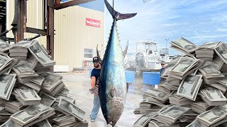 How Much Did This 10ft Tuna Sell For [upl. by Aika]