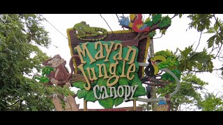 Sloths at Mayan Jungle Canopy Roatan Honduras [upl. by Nolyak]