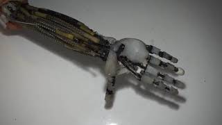 Artificial Muscles Robotic Arm Real Copy of Human Arm [upl. by Jenda589]