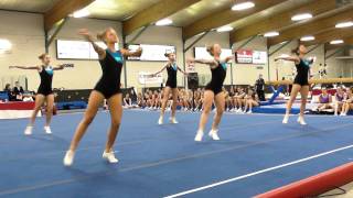 OFSAA Aerobic Gymnastics 2011 [upl. by Deina466]