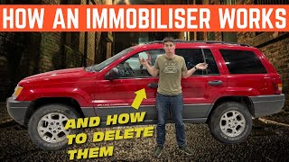 What Is An Immobiliser How Does It Work And How Do You DELETE It [upl. by Pritchett]