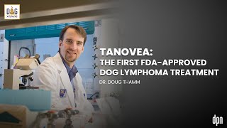 Tanovea The First FDAApproved Dog Lymphoma Treatment  Dr Douglas Thamm [upl. by Ahtebbat]