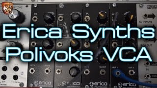 Erica Synths  Polivoks VCA [upl. by Seessel91]