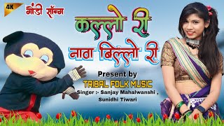 कल्लो री नावा बिल्लो री  गोंडी सॉन्ग  KALLO RI GONDI SONG  SANJAY MAHALWANSHI  gondi [upl. by Delacourt524]