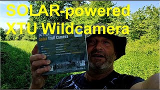 2024 06 15 Wildcamera [upl. by Anoet]