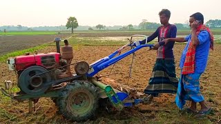 Diesel Engine Changchai Power Tiller Driving Skills Paddy Field Cultivated [upl. by Gerianna114]