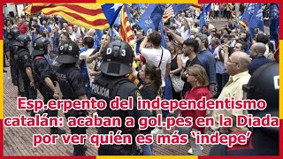 Esperpento del independentismo catalán acaban a golpes en la Diada por ver quién es más ‘indepe’ [upl. by Spiros311]