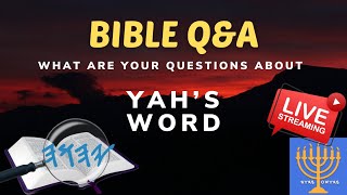 QampA Bible Study Have Bible QUESTIONS about Yahs Word What are they [upl. by Arevle377]