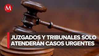 Juzgados y tribunales solo atenderán casos urgentes por paro nacional del PJF [upl. by Verne]