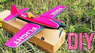 Sbach 300 Aerobatic RC Plane DIY [upl. by Luann]