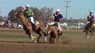 How not to play Polocrosse [upl. by Alfie]