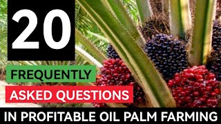 Top 20 Frequently Asked Questions About Profitable Oil Palm Farming Explained [upl. by Anayia347]