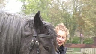 Borsele voorop met vrijwilligerswerk onder jongeren in Zeeland [upl. by Argent674]