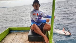 BESAR DAN BERAT STRIKE IKAN LAUT DALAM 90 METER [upl. by Cl]