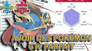 Avoir le Pokémon aux IV PARFAIT grâce aux Capsule Argent et Or  Pokémon Épée et Bouclier [upl. by Aix]