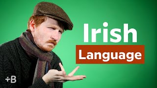 What Language Is Spoken In Ireland [upl. by Dorwin487]