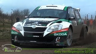 Rally van Haspengouw 2014 HD Devillersvideo [upl. by Sillek]