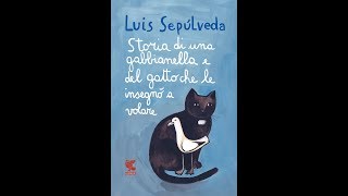 Storia di una Gabbianella e del Gatto che le insegnò a volare Audiolibro completo PARTE PRIMA [upl. by Darius598]